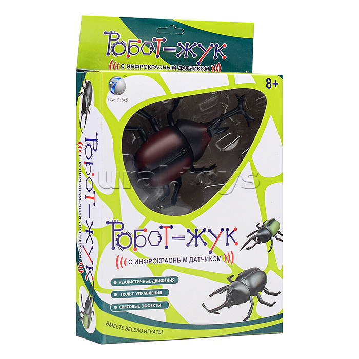 Жук в коробке