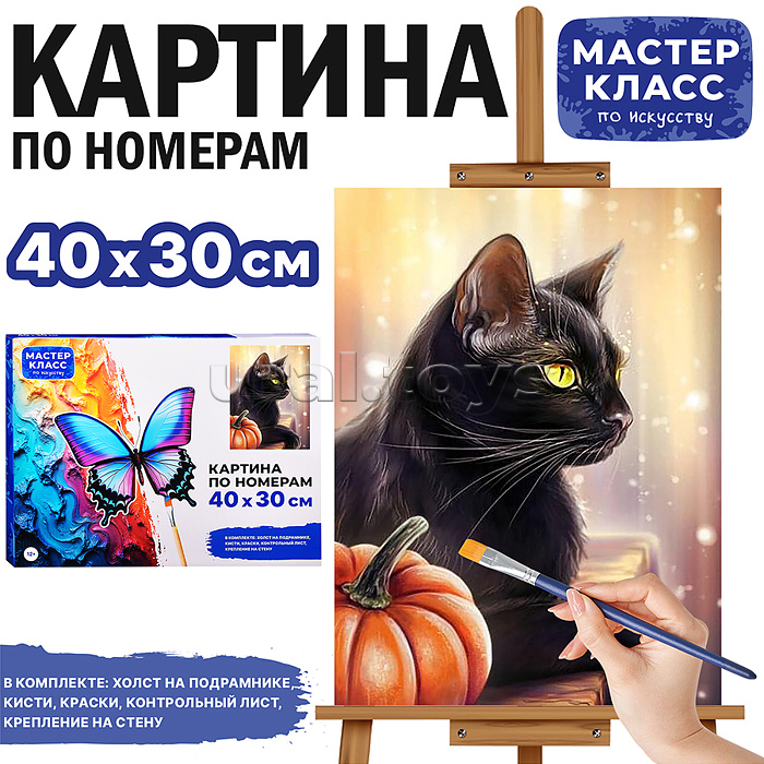Набор для рисования "Картина по номерам 30х40 см. Чёрный кот" Набор для рисования "Картина по номерам 30х40 см. Чёрный кот"