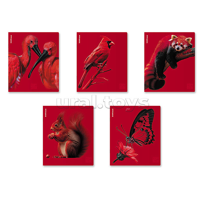 Тетрадь 48л. клетка "Scarlet" ламинация soft-touch+выборочный УФ-лак