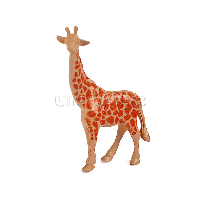 Животные Африки "Рассказы о животных" 12шт в пакете