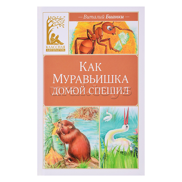 Классическая литература. Бианки В. Как Муравьишка домой спешил