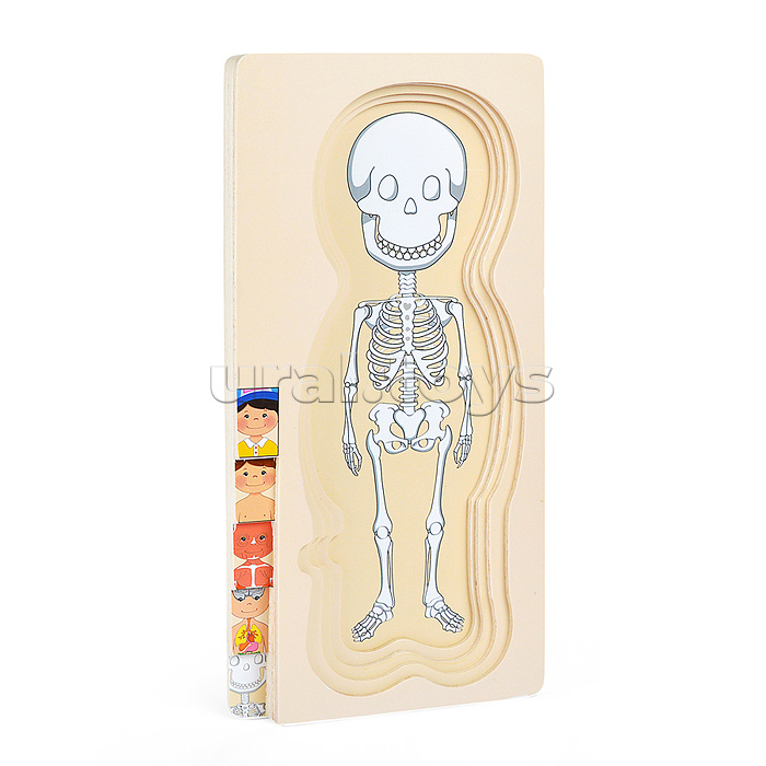 Пазл-вкладыш "Мальчишка"