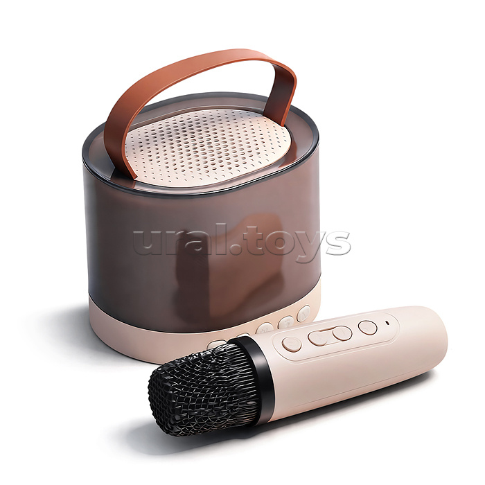 Караоке - центр игрушечный "Петь и зажигать" в коробке