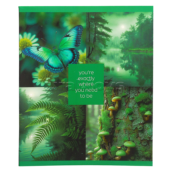 Тетрадь 48л. клетка "Природная красота" А5 скрепка