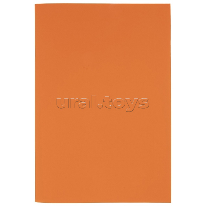 Тетрадь 48л. А4 клетка "Шафран" на скобе запечатанный титульный лист Soft-touch SoloMatte