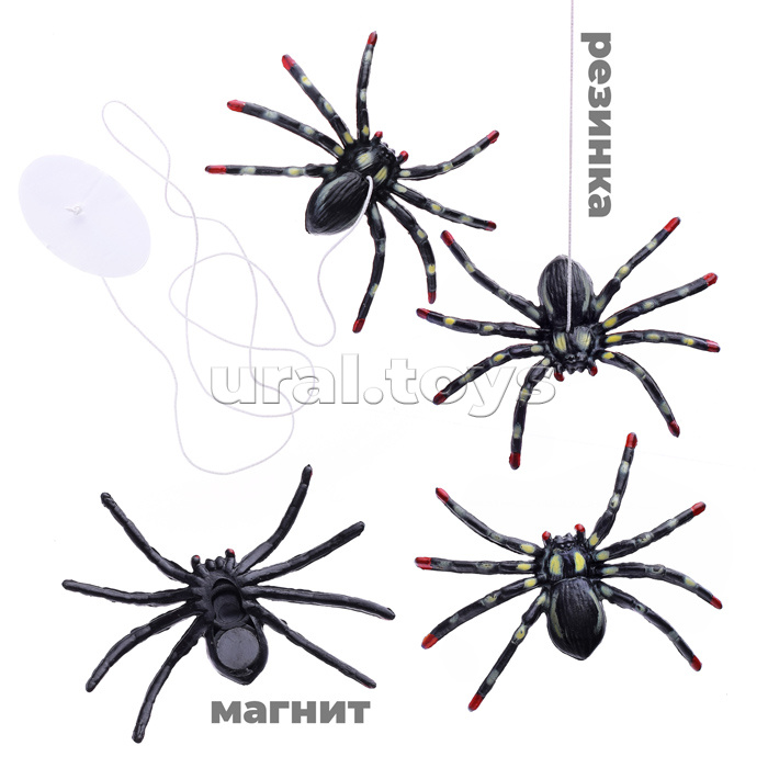 Игра-розыгрыш "Пауки" Игра-розыгрыш "Пауки"