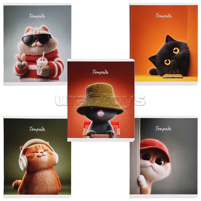 Тетрадь 48 л, клетка "Современные коты" А5+, мягкий переплёт (2 скобы)