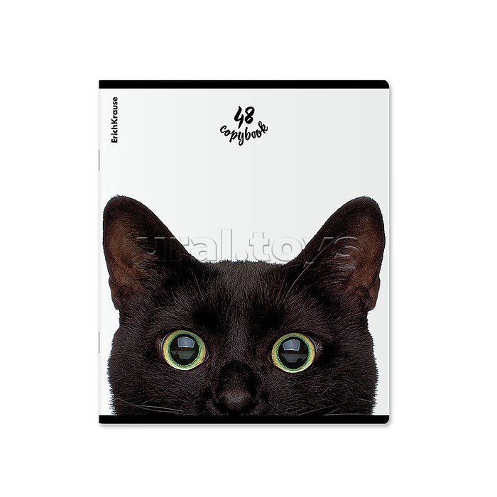 Тетрадь 48л. клетка "Котики"