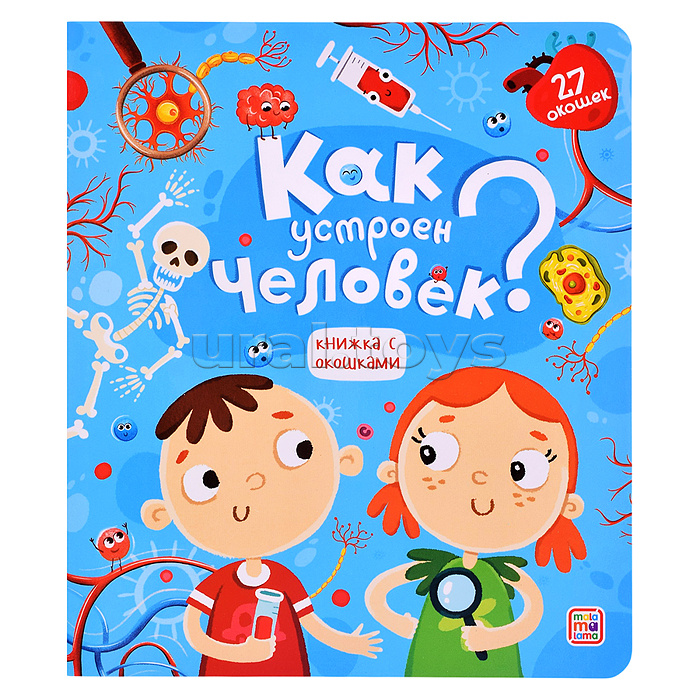 Книжка с окошками. Как устроен человек?