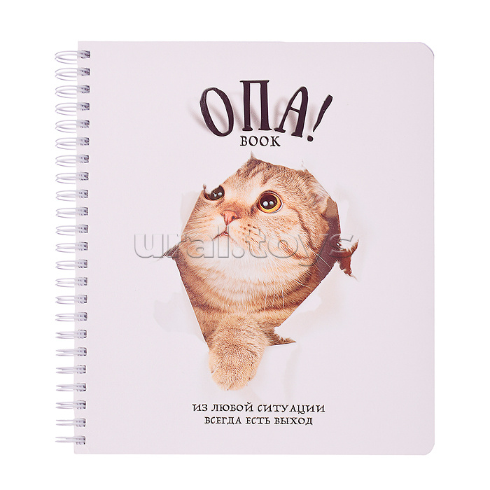 Тетрадь 96л. клетка/линия, А5 "Перевертыш Опа!" гребень