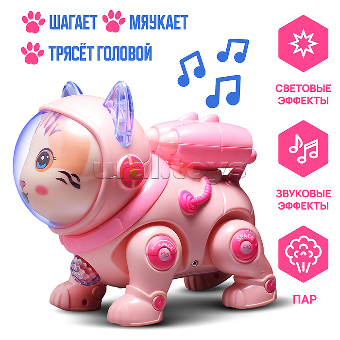 Кот "Электрокосмический кот" в коробке Кот "Электрокосмический кот" в коробке