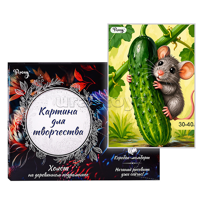 Картина по номерам 30х40 "Мышь с огурцом" (20 цветов)