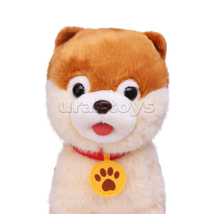 Собака "Шади" (поет, ходит, повторяет) в пакете