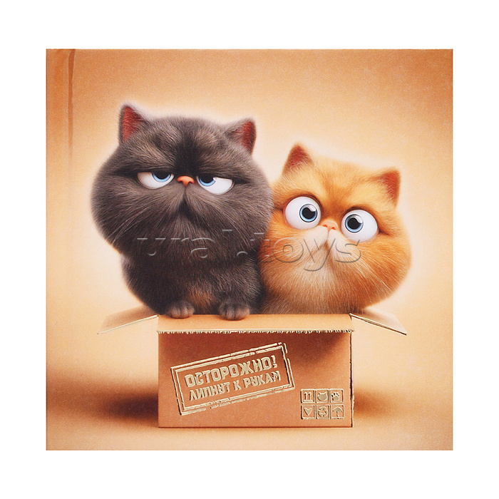 Блокнот 48л. "Коты в коробке" 105х105 мм, клетка