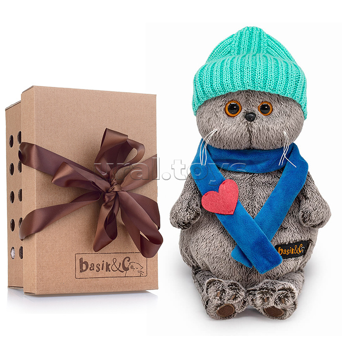 Кот Басик в шапке и шарфе с сердечком