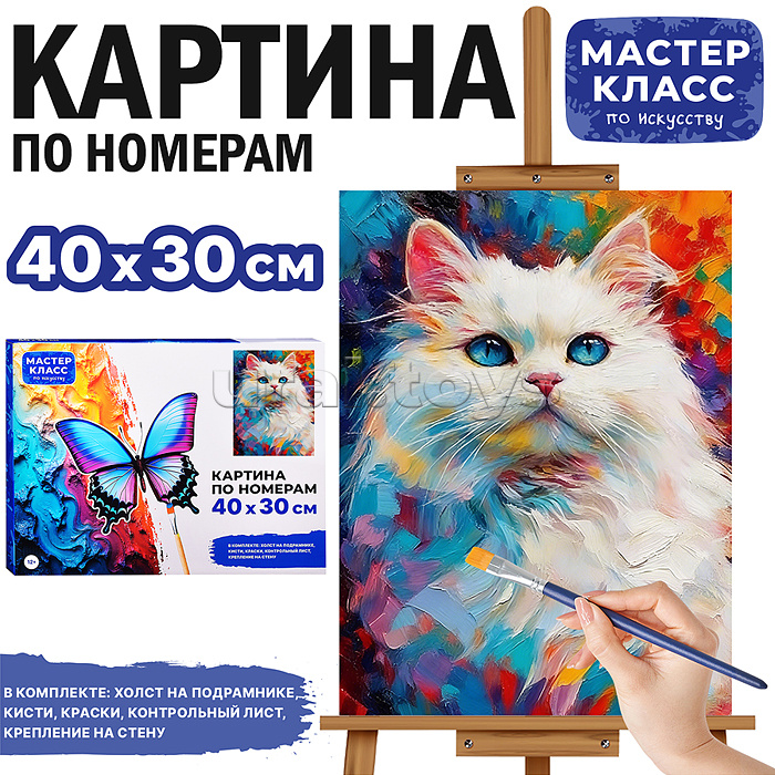 Картина по номерам "Белая кошка" 40х30 см