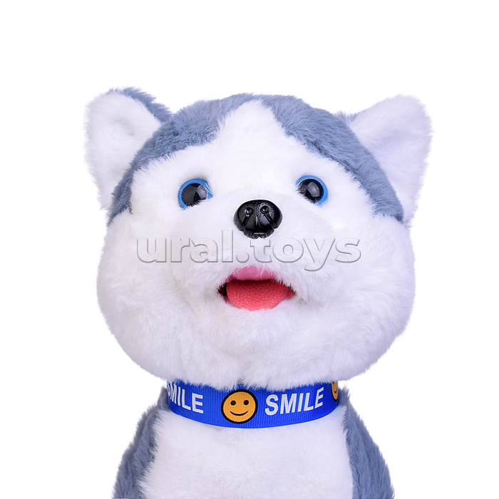 Собака "Джек" (записывает, поёт, двигается) в пакете