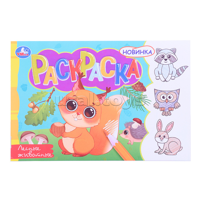 Лесные животные. Раскраска.