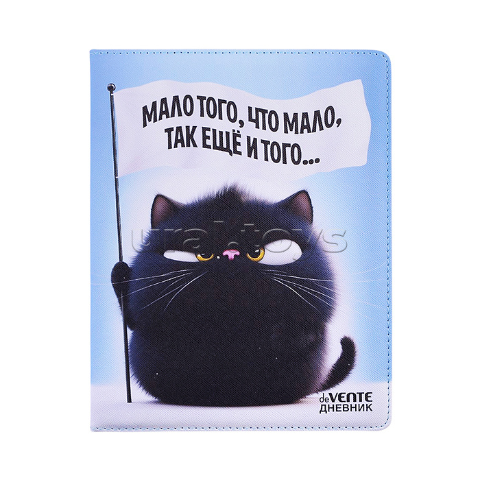 Дневник 1-11кл.  "Мало того, что мало..." универсальный блок, 48 листов, белая бумага 80 г/м², печать в 1 краску, твердая обложка из искусственной антивандальной кожи с поролоном, цветная печать, отстрочка, 1 ляссе