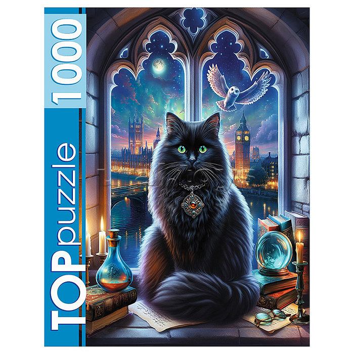 Пазлы 1000 TOPpuzzle "Магический кот"