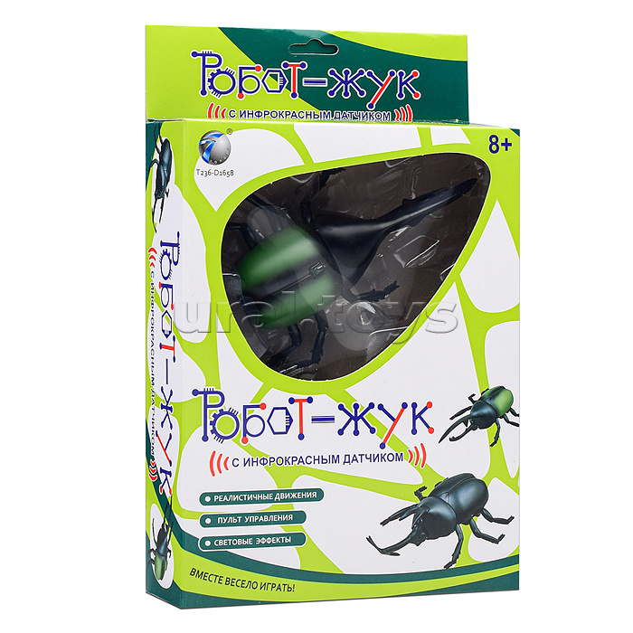 Жук в коробке