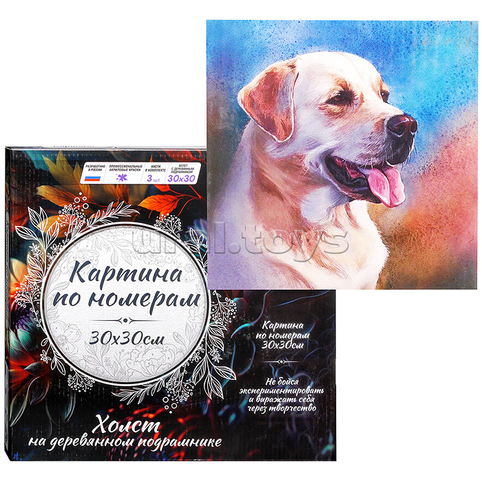 Картина по номерам 30х30 "Лабрадор ретривер" (25 цветов)