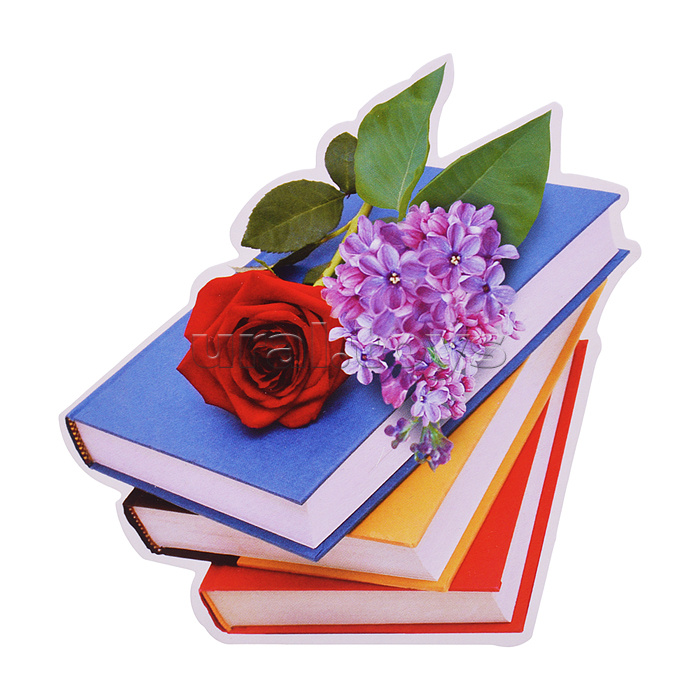 Украшение на скотче 284х326мм "До свидания, Школа!"