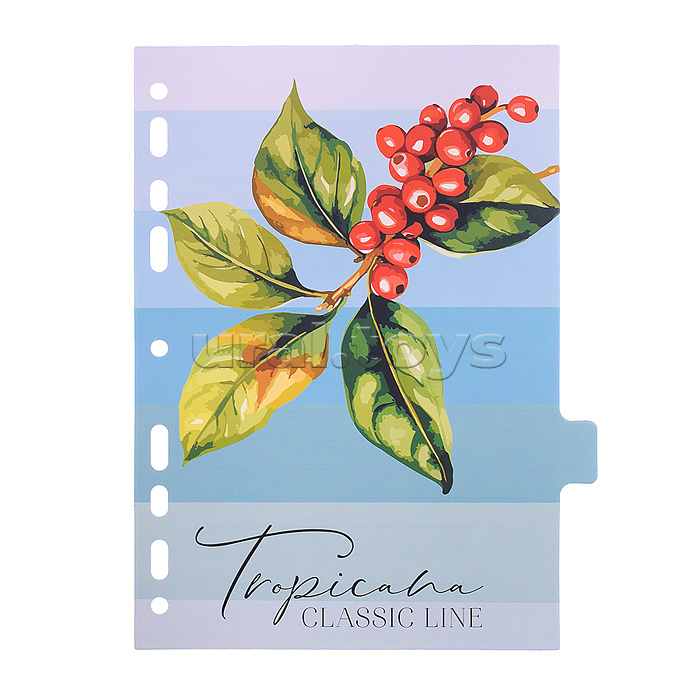 Разделитель листов "Tropicana" A5 (160x210 мм) ламинированный мелованный картон 210 г/м2, с рисунком, 8 шт, индивидуальная упаковка