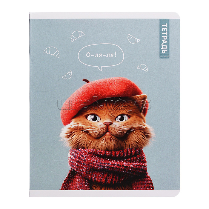Тетрадь 48 л, клетка "Коты в школе" А5+, мягкий переплёт (2 скобы)