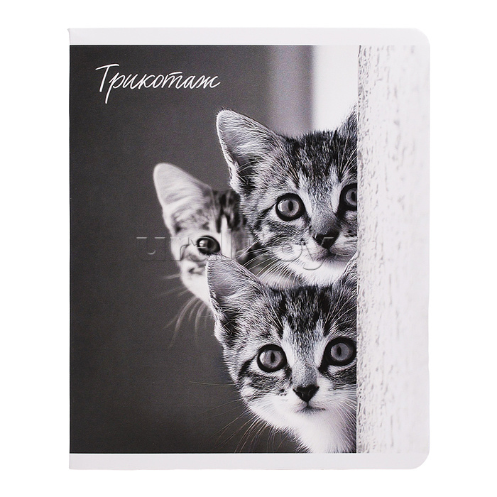 Тетрадь 48 л, клетка "Монохромные коты" А5+, мягкий переплёт (2 скобы)