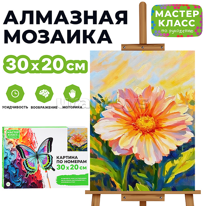 Картина по номерам MKR3020-153 "Полевой цветок" 30х20 см.