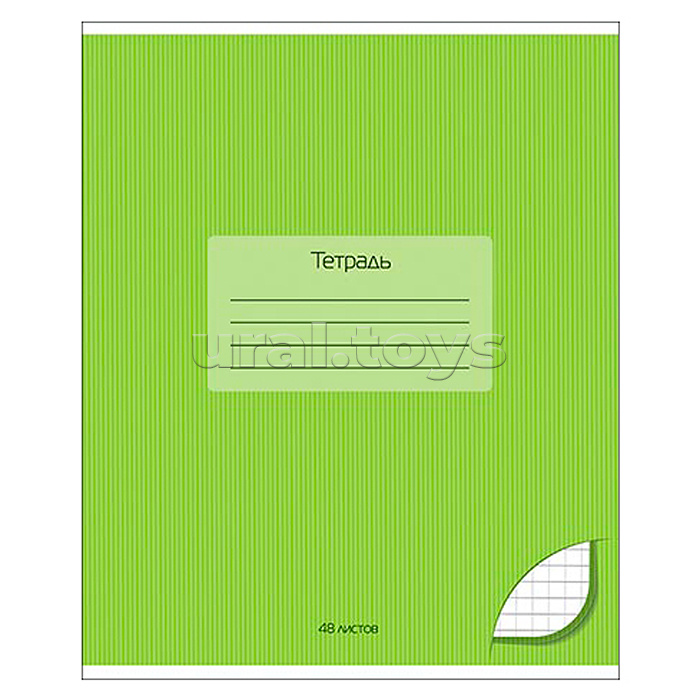 Тетрадь 48 л. клетка "Салатовый"
