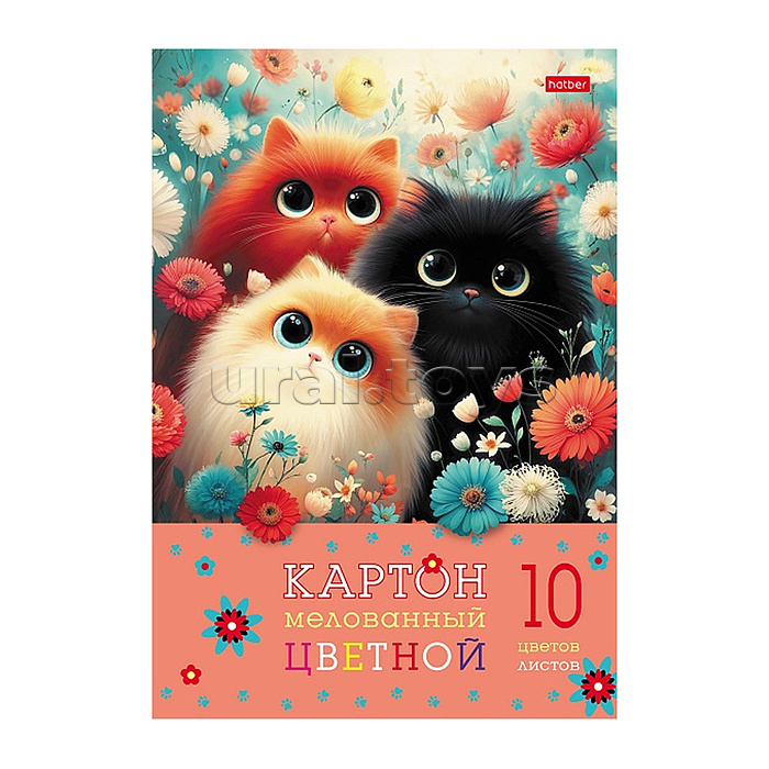 Картон цветной 10л 10 цв. А4ф "Пушистые лапки" в папке набор
