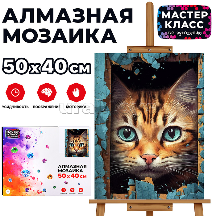 Мозаика алмазная "Котик" 40*50см.