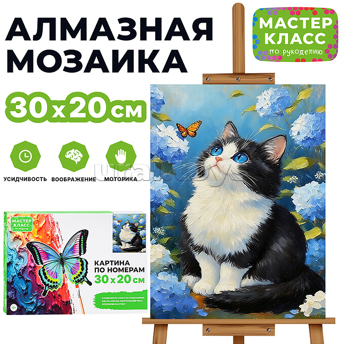 Картина по номерам "Синеглазка" 30х20 см.