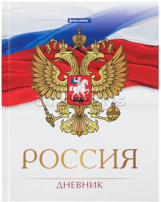 Дневник 5-11 класс 48 л., твердый, глянцевая ламинация, с подсказом "Символика 2"