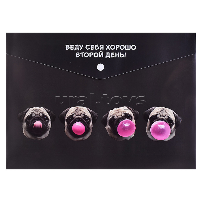 Папка пластиковая А4 "Мопс и жвачка"