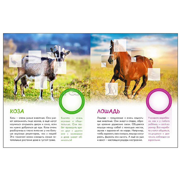 Мир животных с наклейками. Кто живёт в деревне?