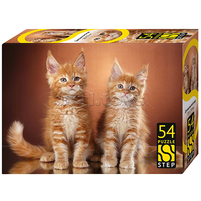 Пазлы 54 "Домашние питомцы"