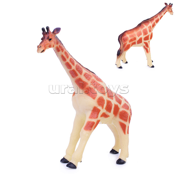 Жираф, самец, в пакете