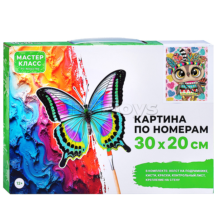 Набор для рисования "Картина по номерам 30х20 см. Совушка"