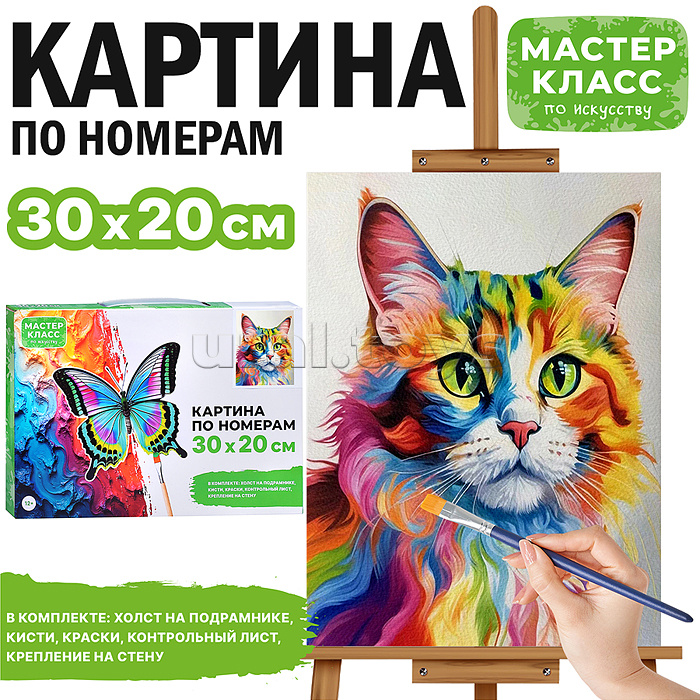Картина по номерам "Необыкновенный взгляд" 30х20 см.