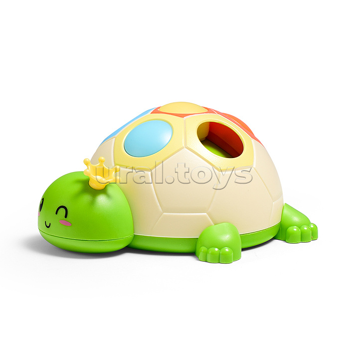 Черепашка "Глаша" в коробке