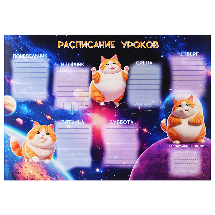 Расписание уроков А4, "Космо-кот" мелованный картон, полноцветная печать, выборочный УФ-лак