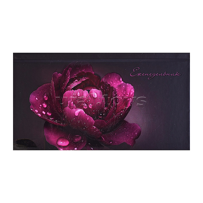 Еженедельник недатированный 64л. "Пион" 171х93 мм, твёрдый переплёт