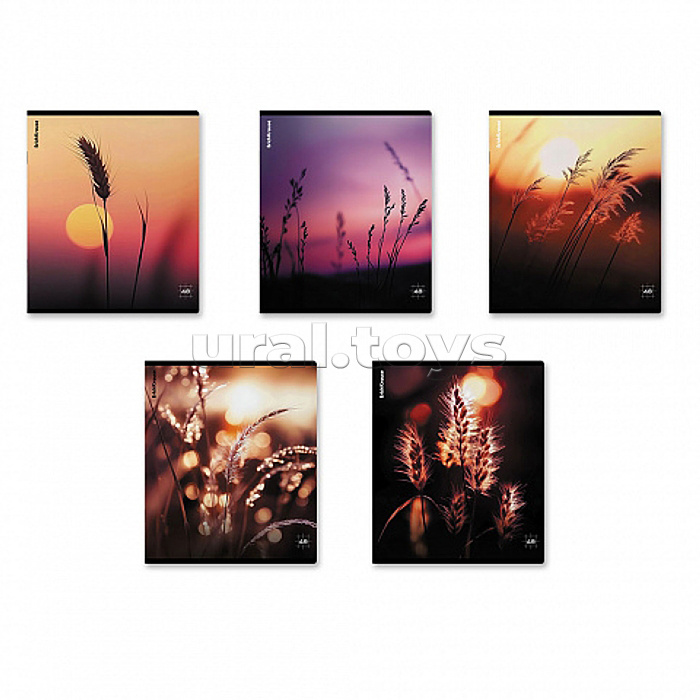 Тетрадь 48л. клетка "Macro Nature" матовая ламинация