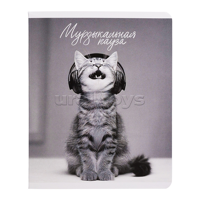 Тетрадь 48 л, клетка "Монохромные коты" А5+, мягкий переплёт (2 скобы)