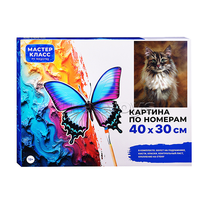 Картина по номерам "Сибираская кошка" 40*30 см.