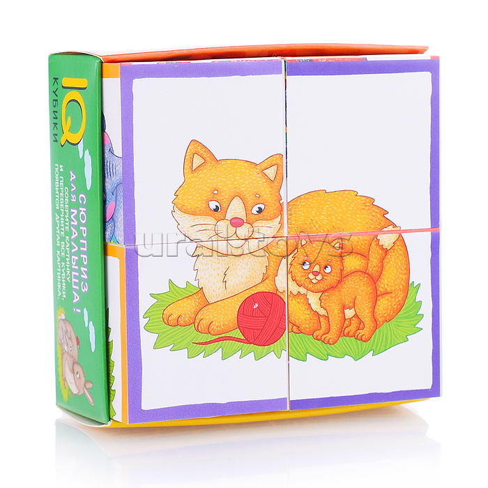 Умные кубики в поддончике. 4 штуки. У кошки котёнок. 2+