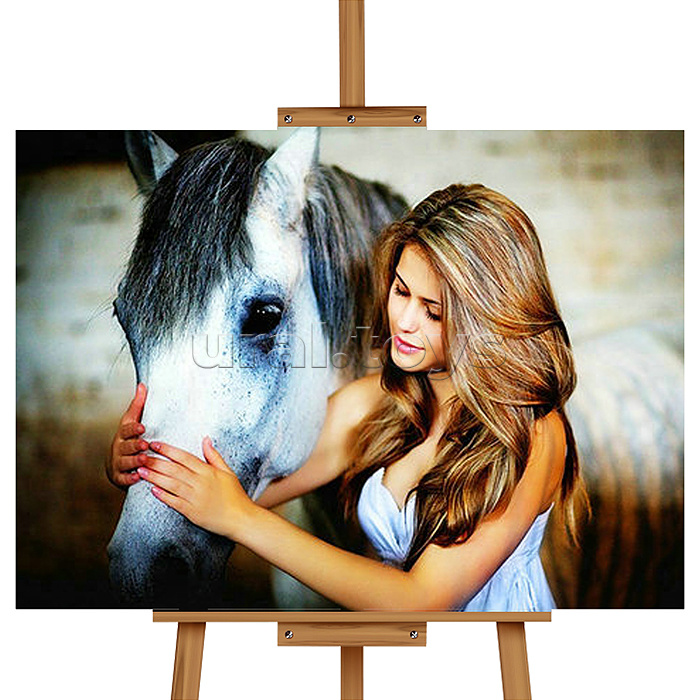 Мозаика алмазная "Девушка с лошадью" 40*50см.